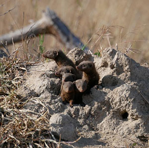 Temoignage de Christophe
