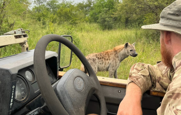 Comptage des animaux