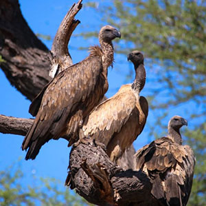 Marie-Jo et Gilbert temoignage
