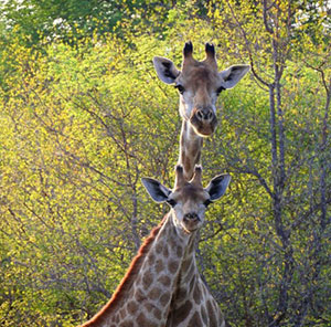 Temoignage voyageur Nadine