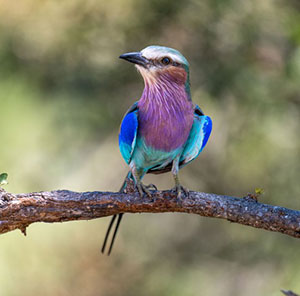 Témoignage de philippe
