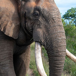 sabrina témoignage voyageuse