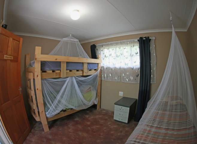 hebergement-babouin2 logement sanctuaire babouin