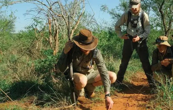 Tracking pistage animaux