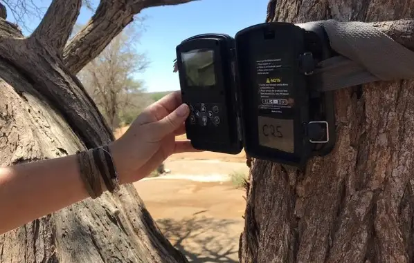 Camera trap